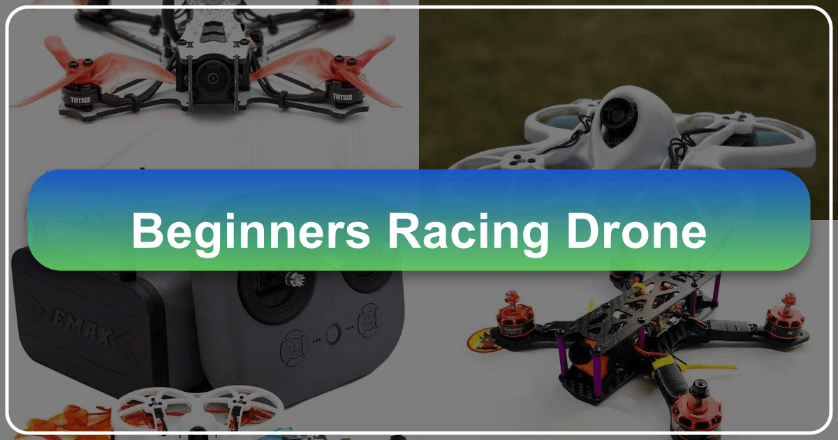 Beginners Racing Drone